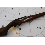Ruger .22LR 10/22 with Moderator - Second Hand